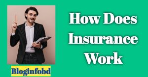 How Does Insurance Work