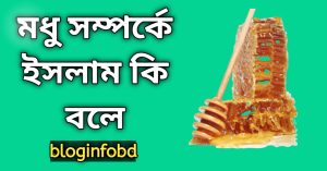 মধু সম্পর্কে ইসলাম কি বলে