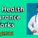 How Health Insurance Works