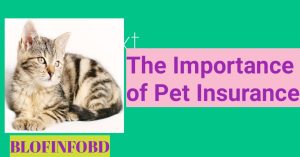 Pet Insurance